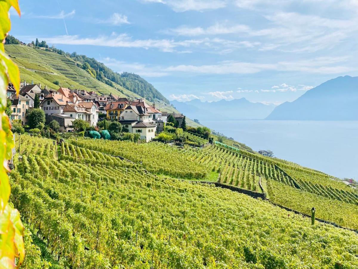 Montreux Holiday Home Ngoại thất bức ảnh