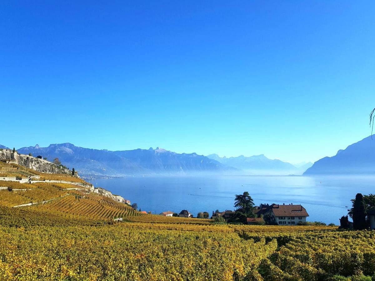 Montreux Holiday Home Ngoại thất bức ảnh